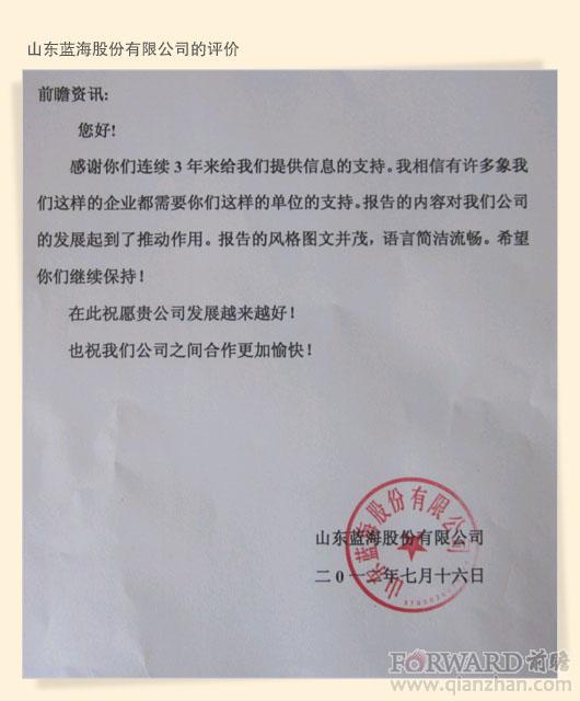 山東藍海股份有限公司